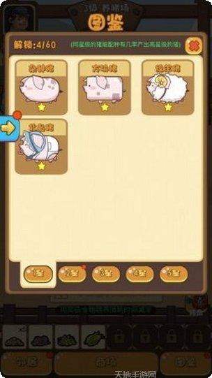 一起养龙赚钱攻略