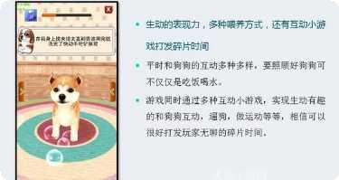 奔跑吧小鸟下载
