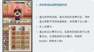 奔跑吧小鸟攻略