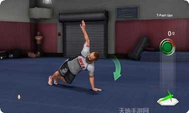 UFC终极格斗冠军攻略