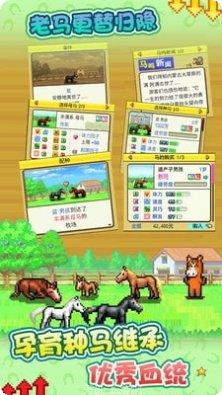 赛马牧场物语最新版本