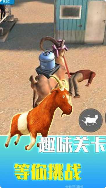 疯狂动物园任务挑战