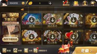 金虎国际角色设定解析
