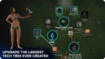 从细胞到奇点无限资源版下载