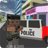 我的警察故事