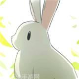 洞窟旅人
