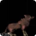 我是一个打工仔