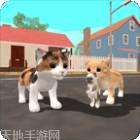 猫咪生存日记