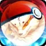 口袋觉醒破解版