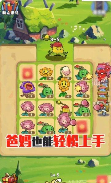 花园战争最新版本