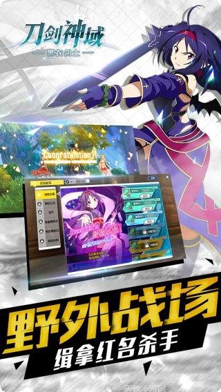 刀剑神域黑衣剑士王牌下载