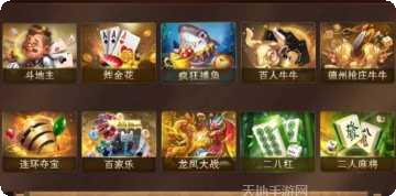 金煌国际角色介绍