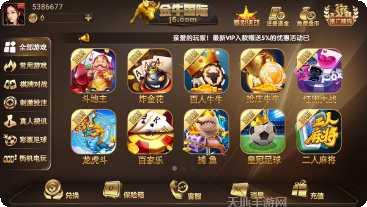 鼎盛电玩安卓版