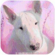 全民斗牛牛吉祥玩法介绍