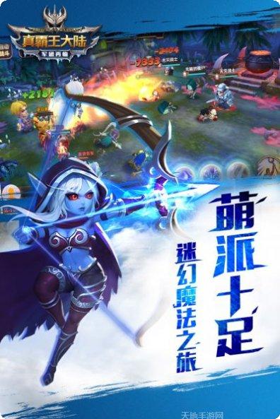 真霸王大陆角色介绍