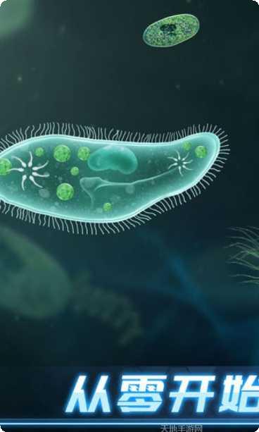 生命简史玩法介绍