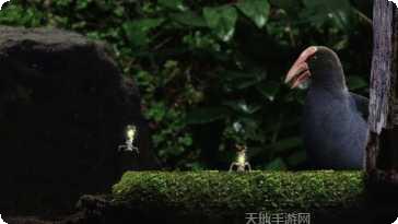 SEEK寻境游戏攻略