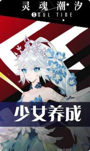 灵魂潮汐装备搭配