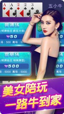 叮叮欢乐棋牌游戏