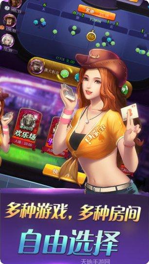 花猫休闲斗牛攻略