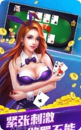飞舞棋牌游戏下载