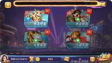 填大坑棋牌游戏下载