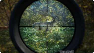 Epic Pick角色推荐