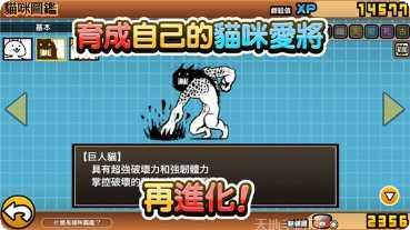 猫咪大作战攻略