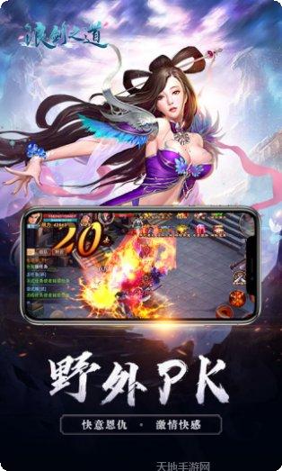 浪剑之道角色培养