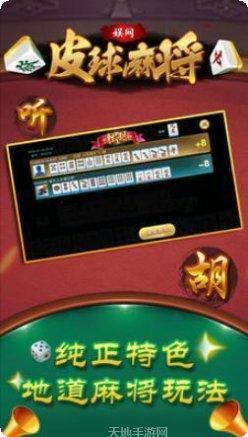 娱网皮球棋牌更新日志