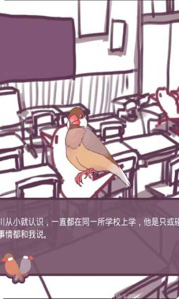 文鸟恋爱物语剧情分析