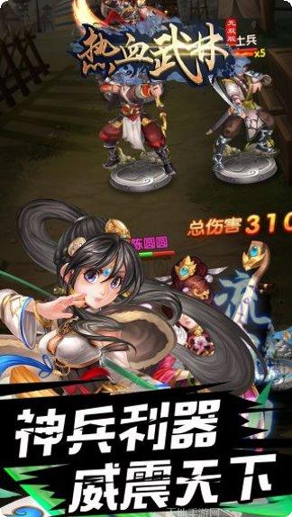 热血武林BTGM商店版下载