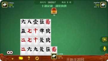 皮皮娄底字牌下载