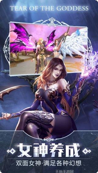 女神之泪装备获取