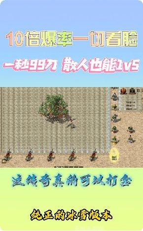 神月传奇游戏下载