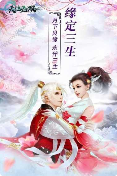 天地无双果盘版下载
