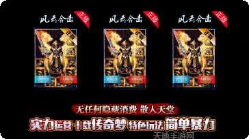 风云合击角色培养