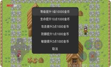 保护村庄游戏攻略