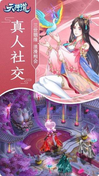 天行道BT送SR角色