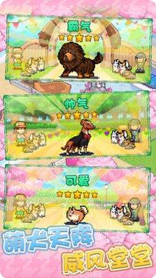 发现狗狗乐园游戏攻略