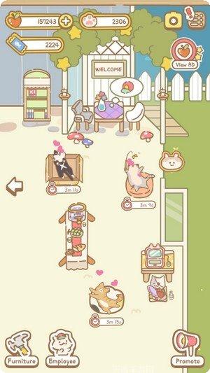 猫咪水疗馆好玩吗