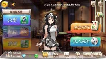 闲来兰西麻将玩家交流
