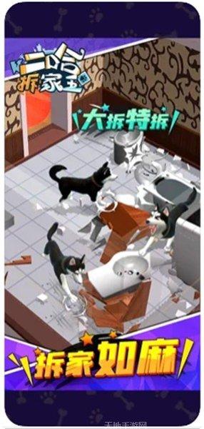 二哈拆家王更新内容