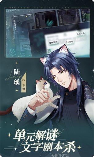 猫之宿约者攻略