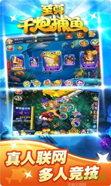 金豪斗牛安卓版