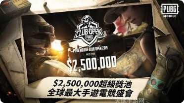 Puppy Town宠物养成