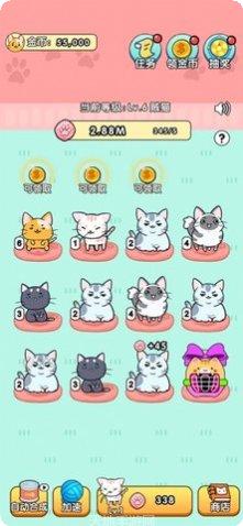 我的小猫跑步者玩法介绍
