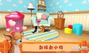 我的宠物莫伊最新版本