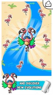 火烈鸟进化游戏攻略