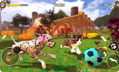 虚拟小猫模拟器攻略